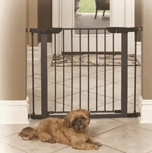 Pet Gate