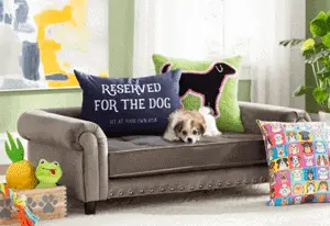 Crazy stylish pet furniture that’s “Just What I Need!”