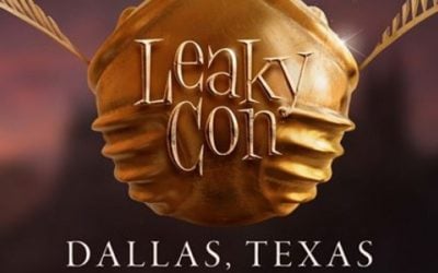 Leaky Con: Ten tips for your first visit