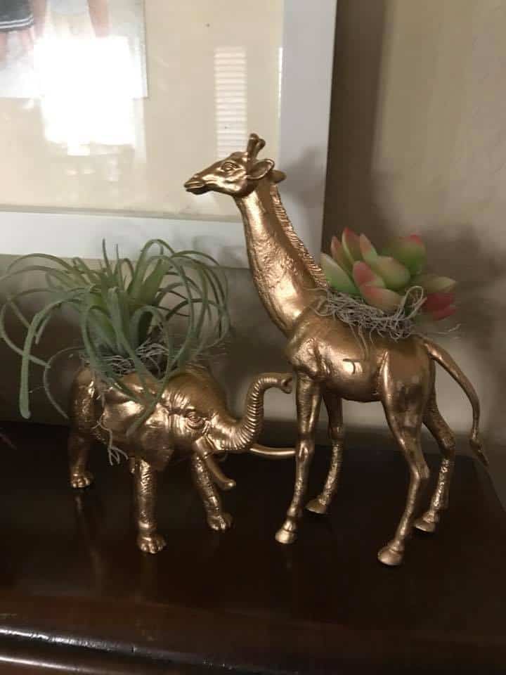 animal planters