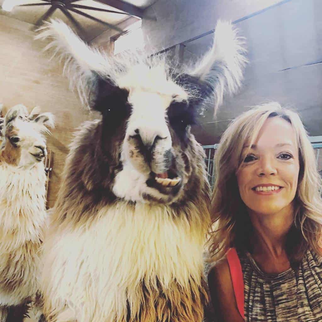 llama selfie