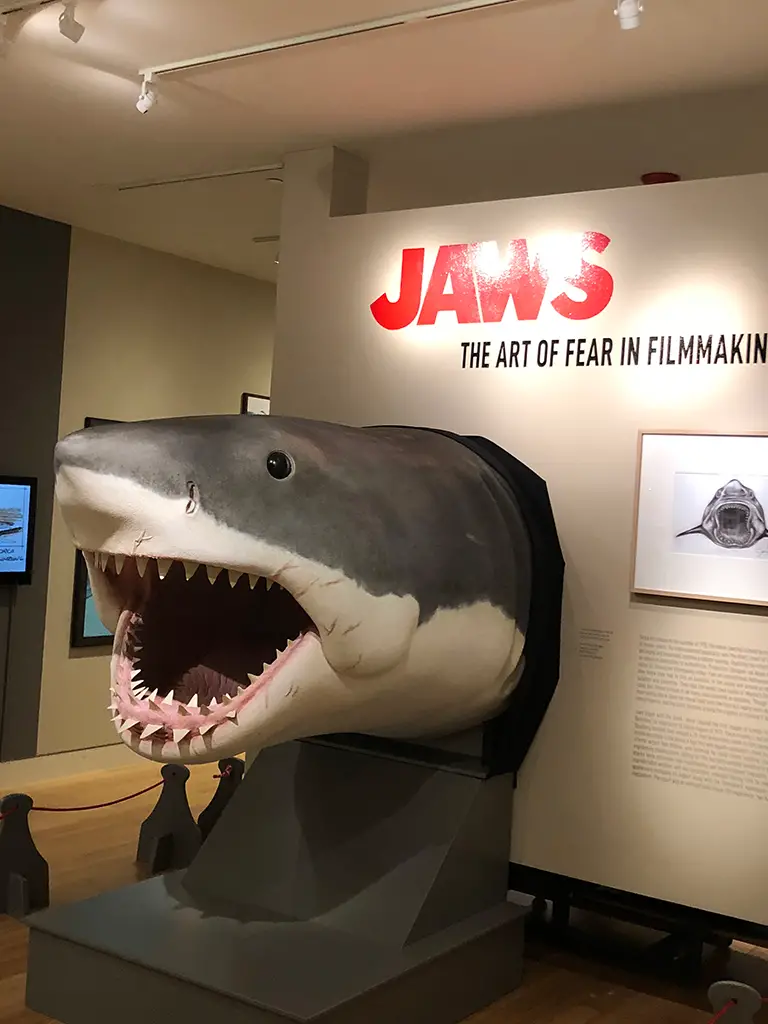 Jaws model
