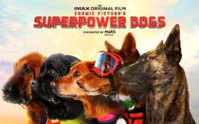 Superpower Dogs 3D at Perot Museum