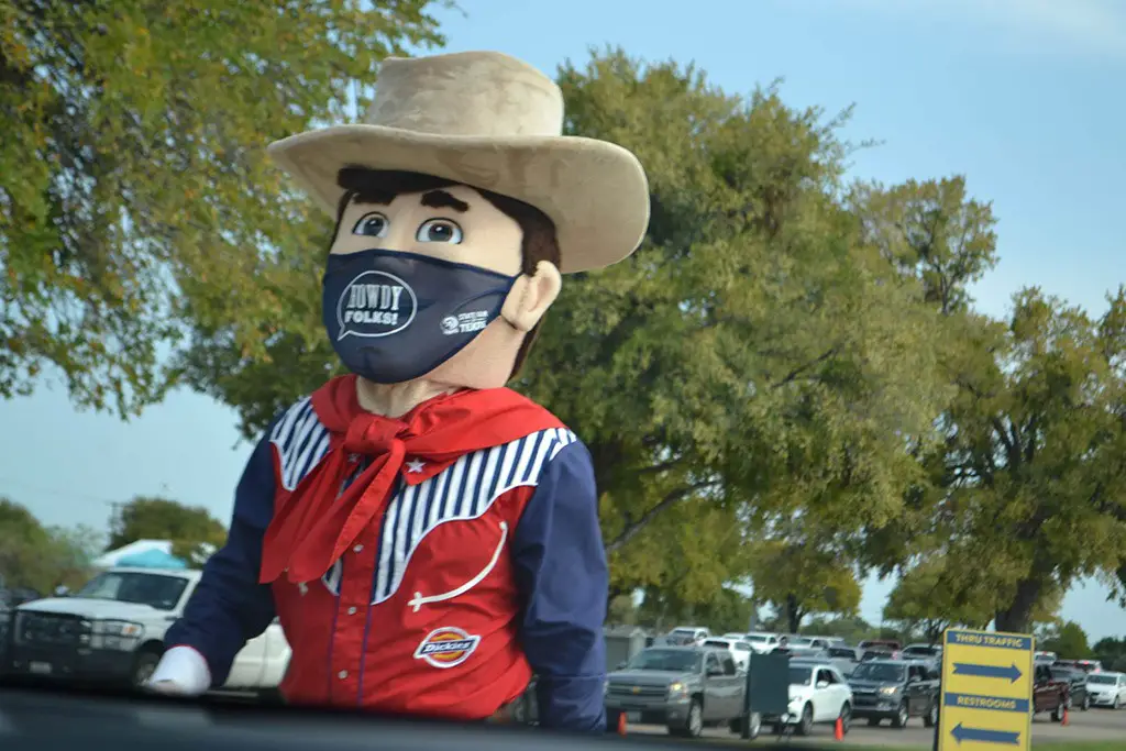 Texas State Fair Cowboy
