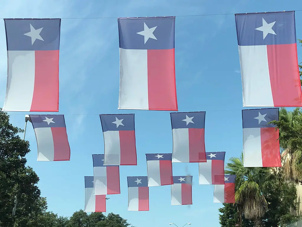 Texas State Flags