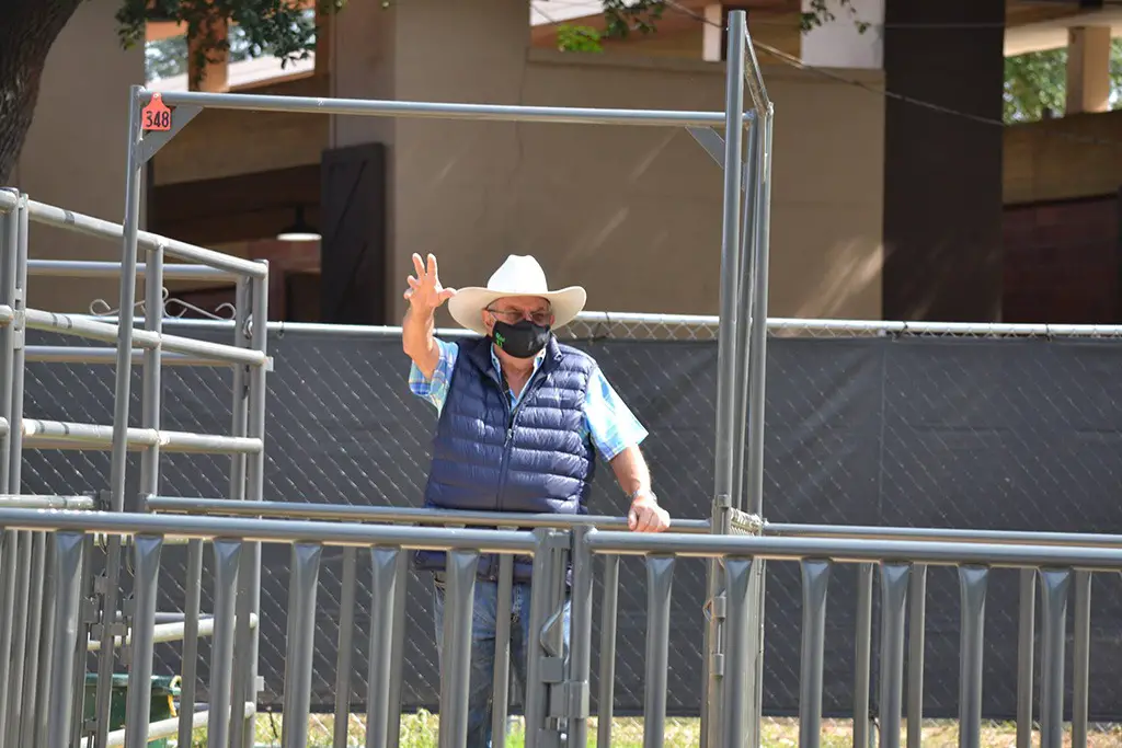 cowboy at state fair of Texas