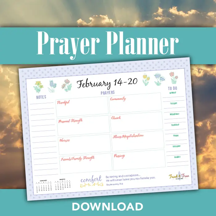 Monthly Prayer Planner Monthly Prayer Planner