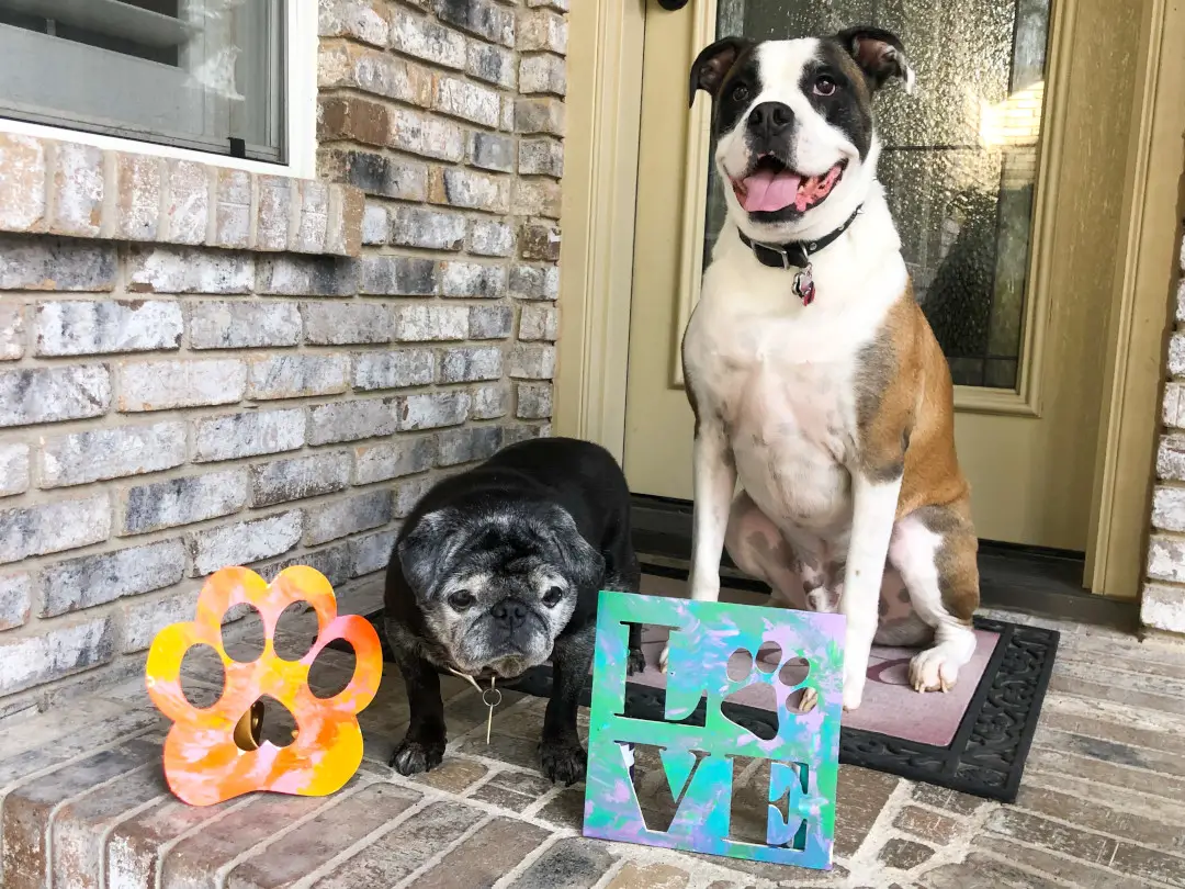 proud dog artists with their finished works