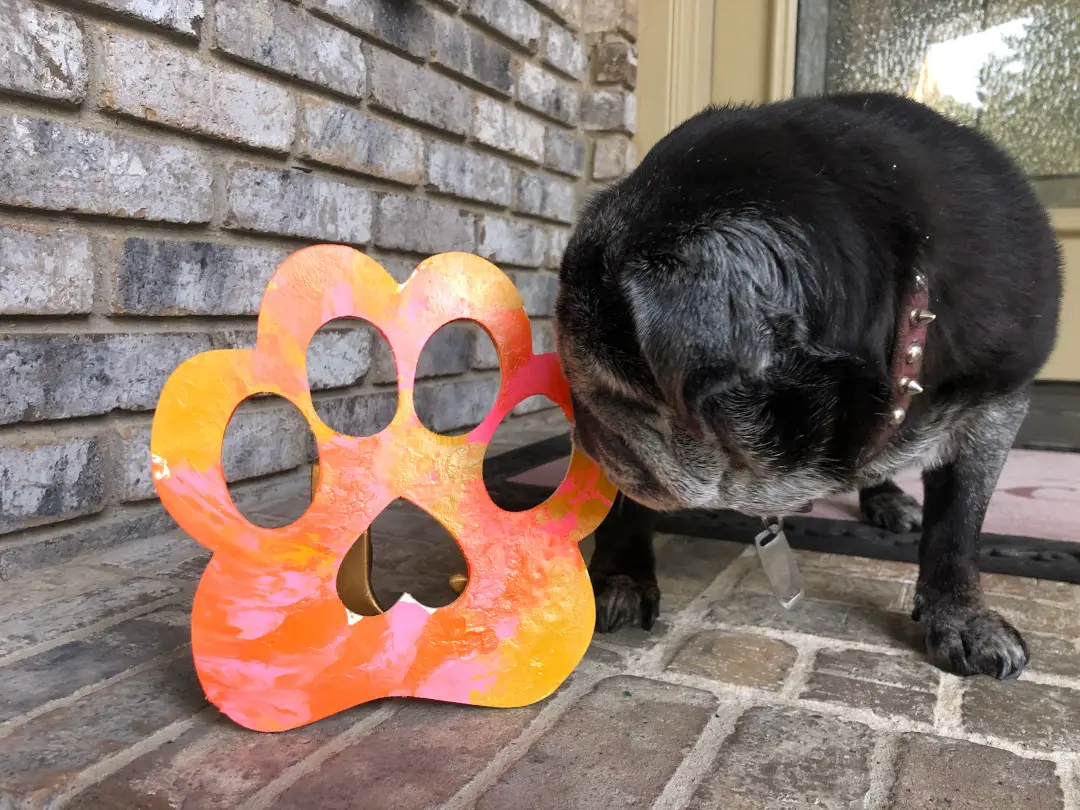 Pug paw template