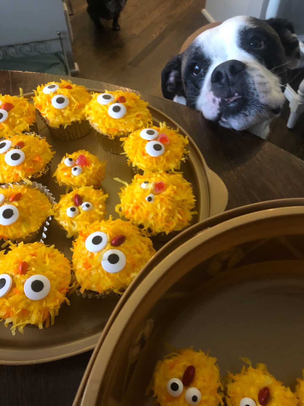 easy-easter-chick-cupcakes (1) Chick cucakes - everybody wants one!