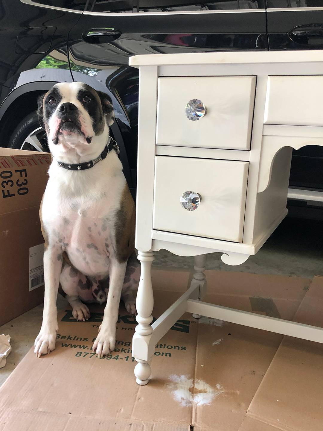 chalkpaint desk with dog