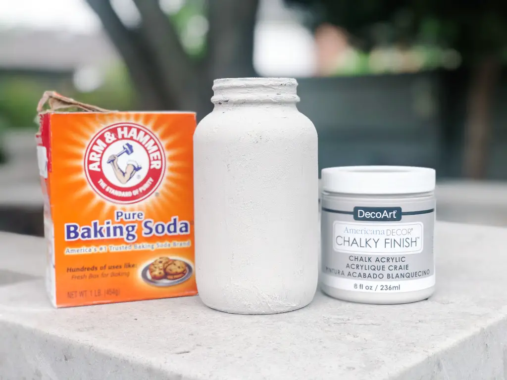 Baking Soda and Paint Craft
