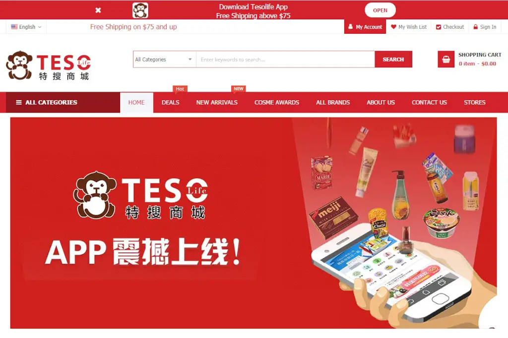 Teso Life website
