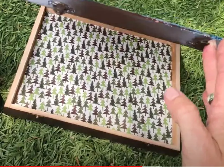 forestry-paper-box forest paper lined cigar boc