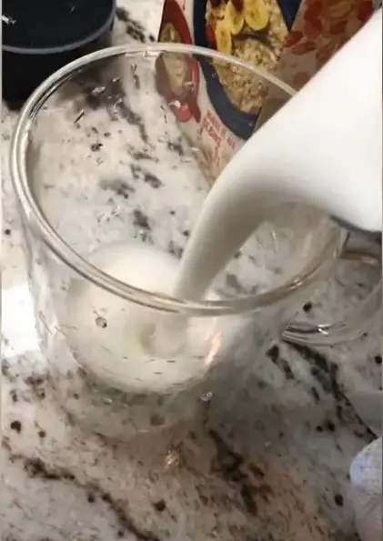 planetoat Planet Oat Oatmilk froth