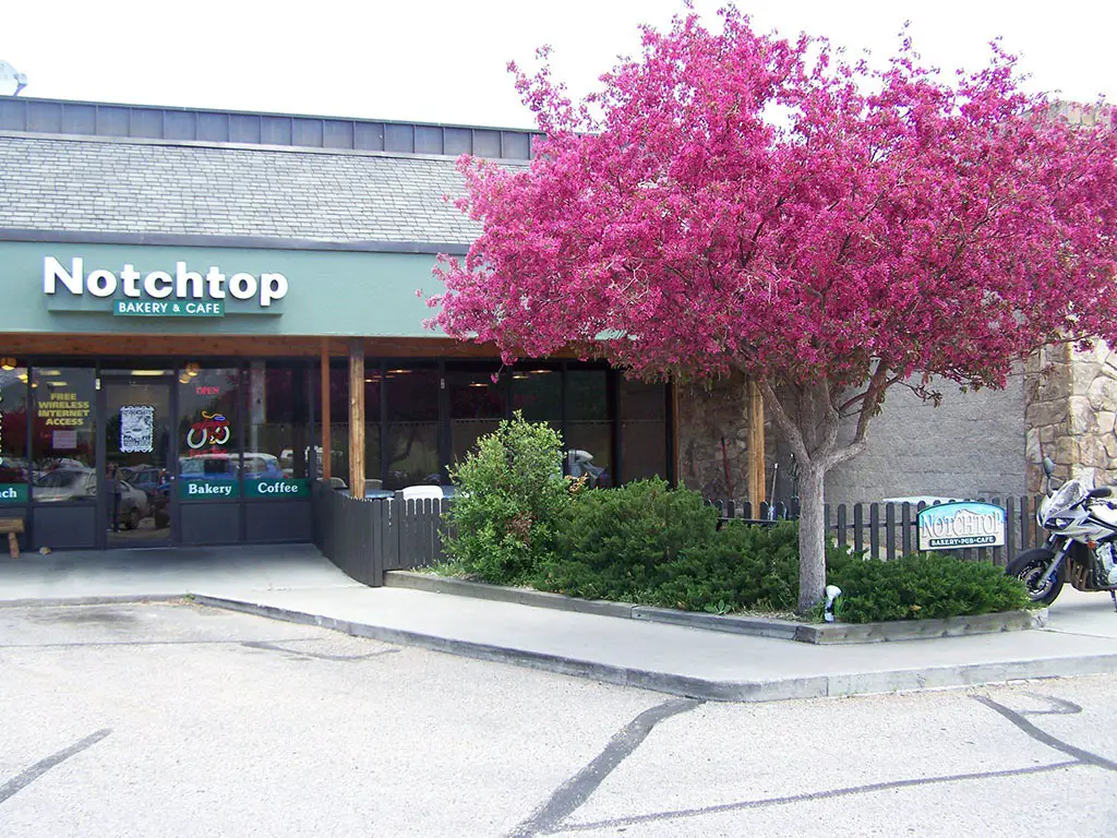 Notchtop Bakery and Cafe