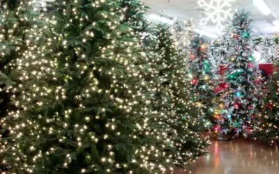 Christmas Tree Shopping Tips