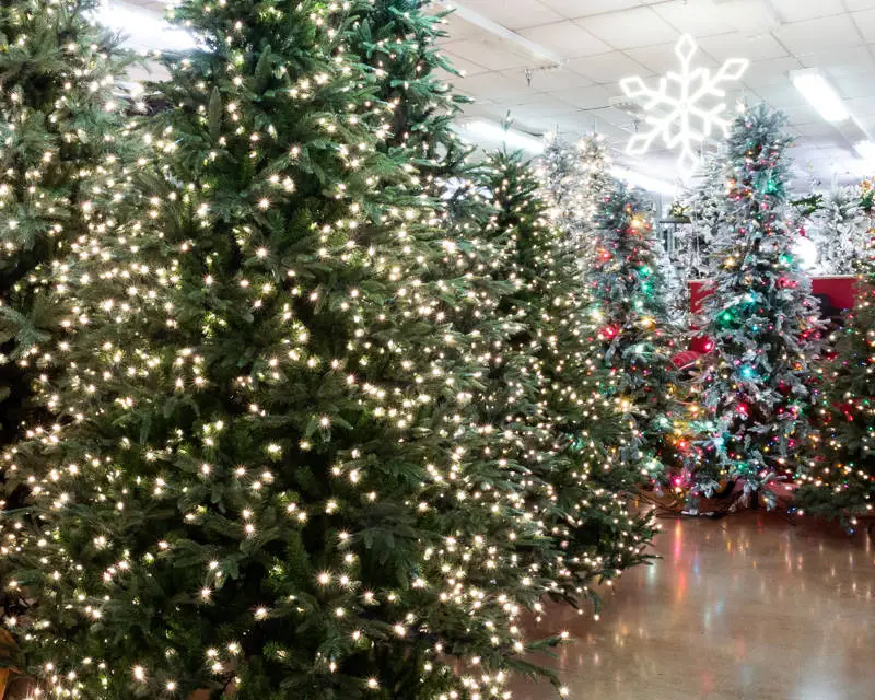 Christmas tree shopping tips