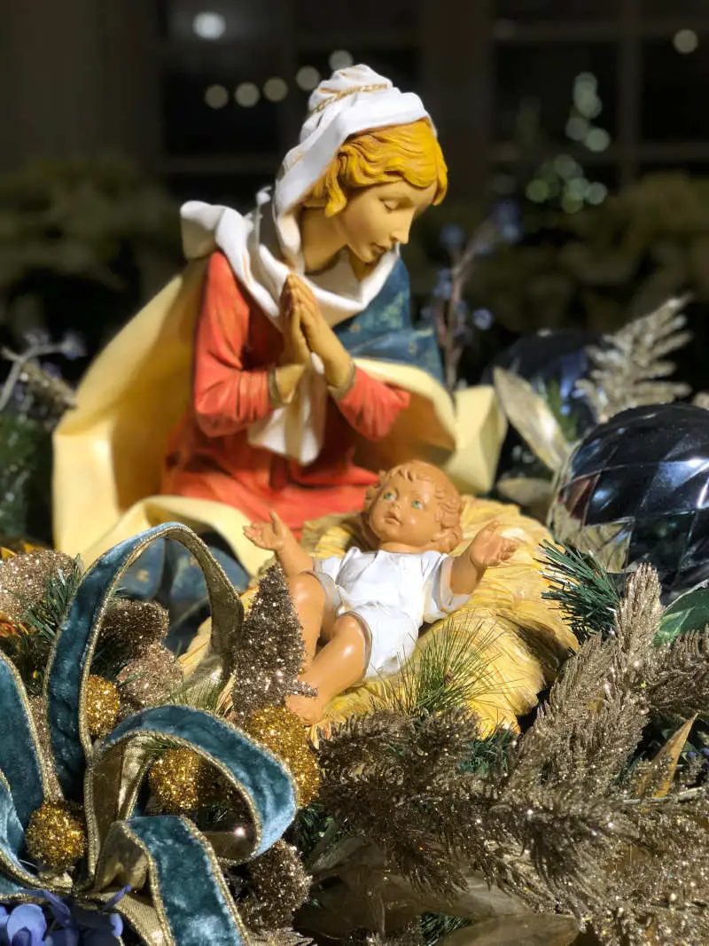 arboretum-nativity degolyer nativity