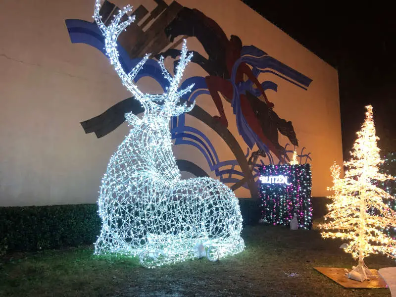 enchant-dallas-stag Enchant Christmas stag