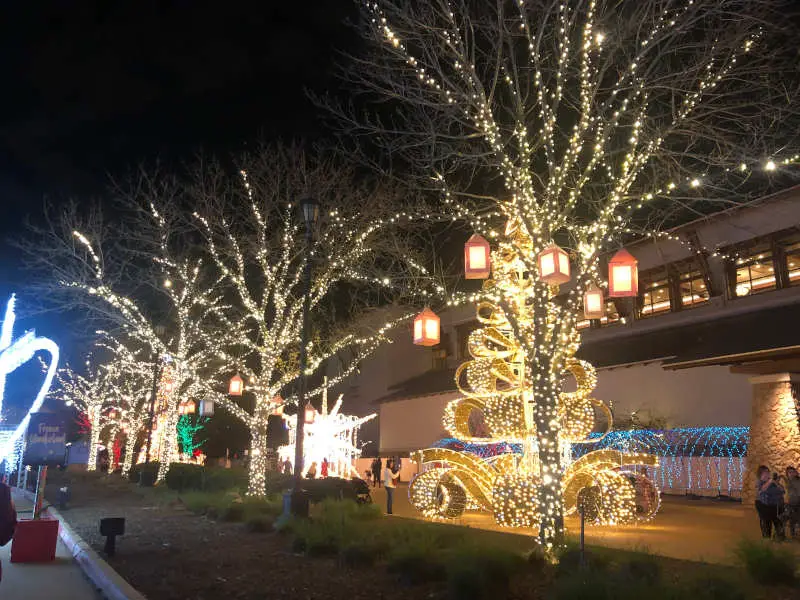 gaylord-tree-lights Gaylord Merry & Lights