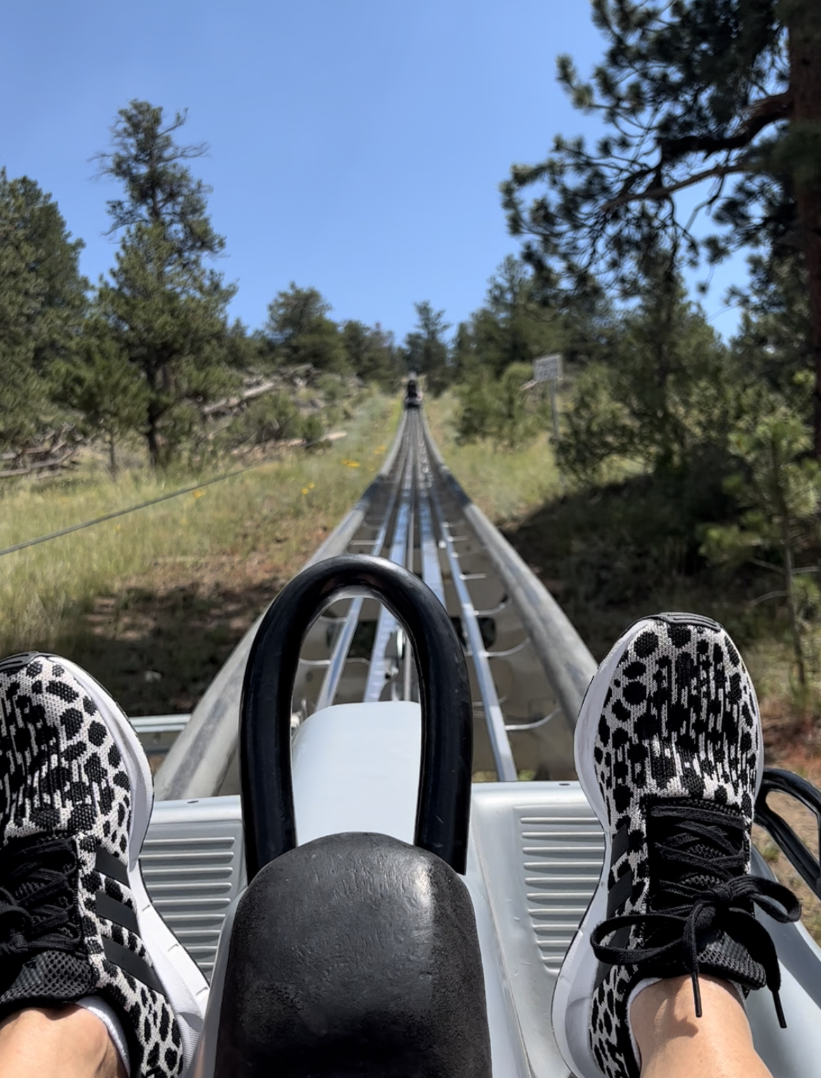 mustang coaster estes park