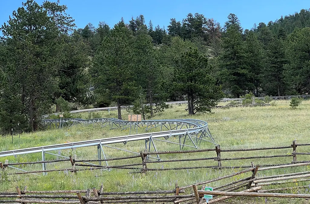 Must do in Estes Park: Mustang Mountain Coaster