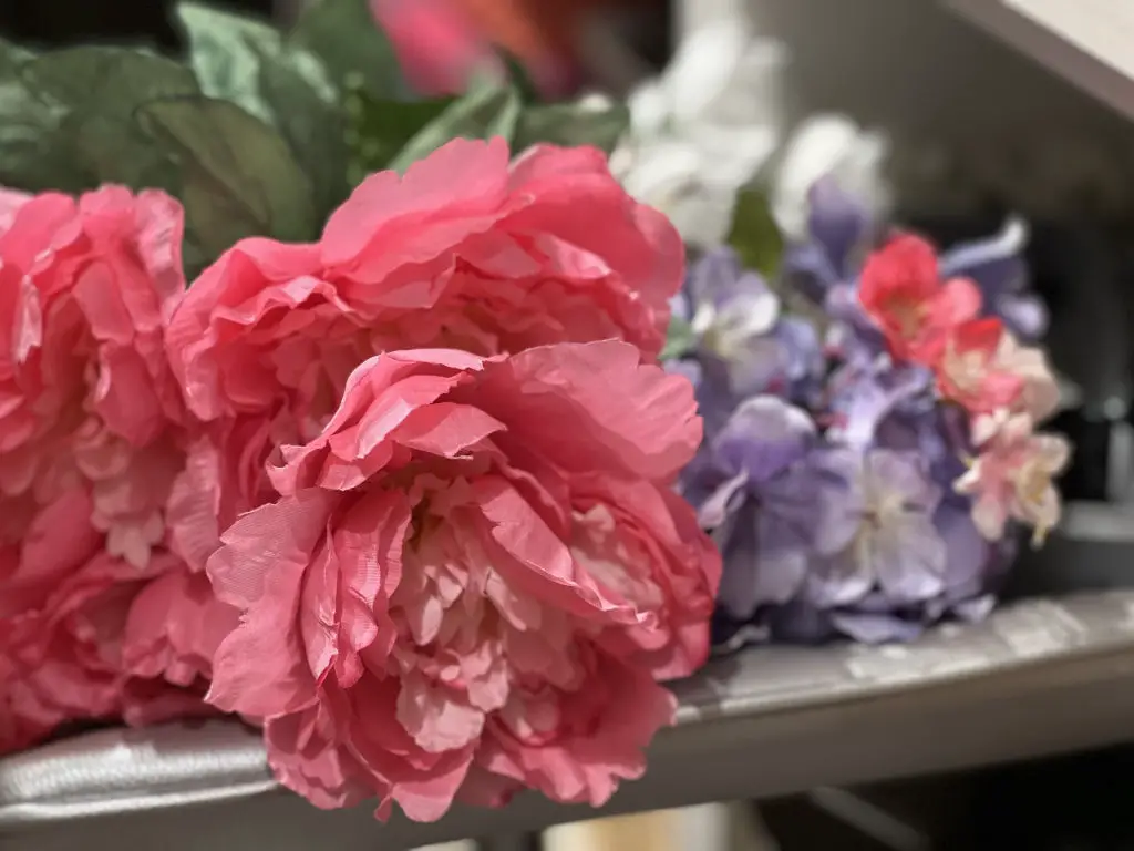 flowers for fairy flowers for fairy